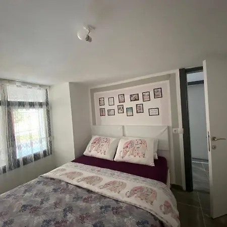 Schoene Im Gruenen Mit Privater Pool Und Meeresblick Daire Kuşadası